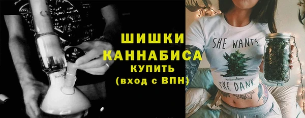 молекула духа Строитель