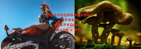ECSTASY Беломорск