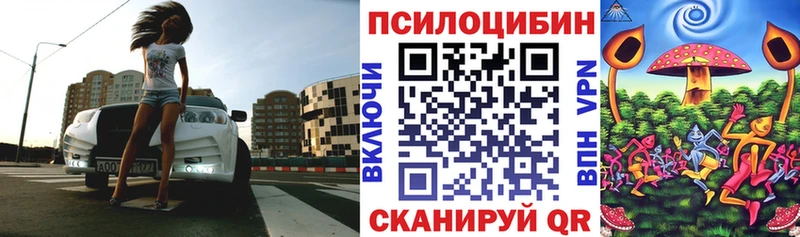 купить наркоту  Краснокаменск  Псилоцибиновые грибы Magic Shrooms 